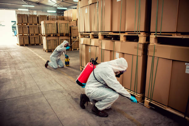 Best Flea Control Services  in Lockport, IL