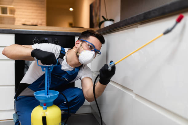 Best Residential Pest Control  in Lockport, IL