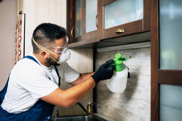 Best Best Pest Control Companies  in Lockport, IL