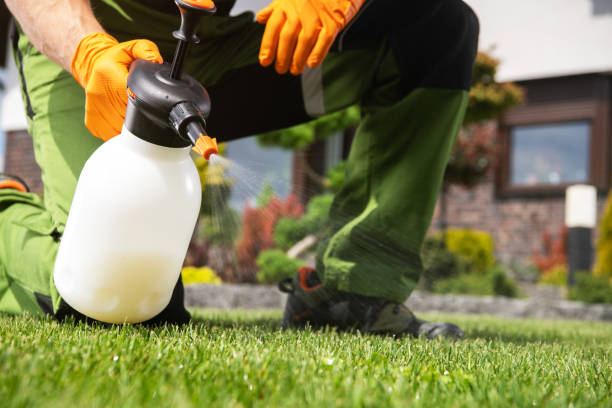 Best Mosquito Control Services  in Lockport, IL