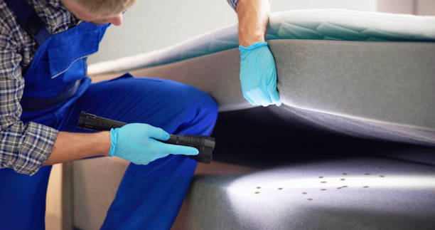 Best Local Pest Control Services  in Lockport, IL
