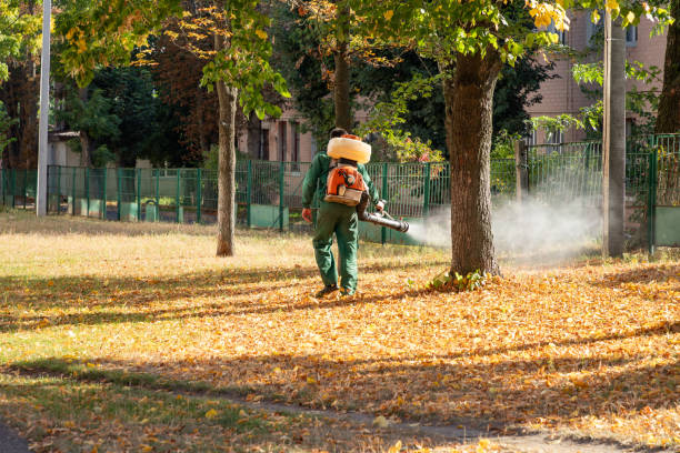 Best Cockroach Control Services  in Lockport, IL