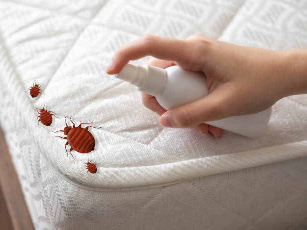 Best Emergency Pest Control  in Lockport, IL