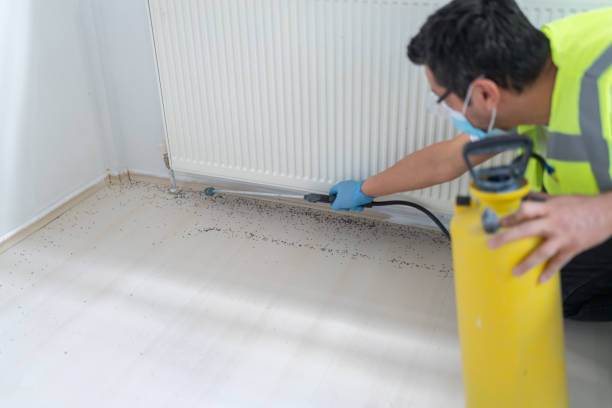 Best Best Pest Control Companies  in Lockport, IL