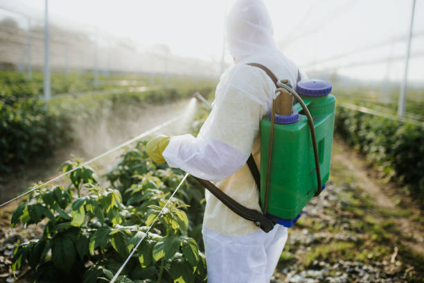 Best Termite Control Services  in Lockport, IL